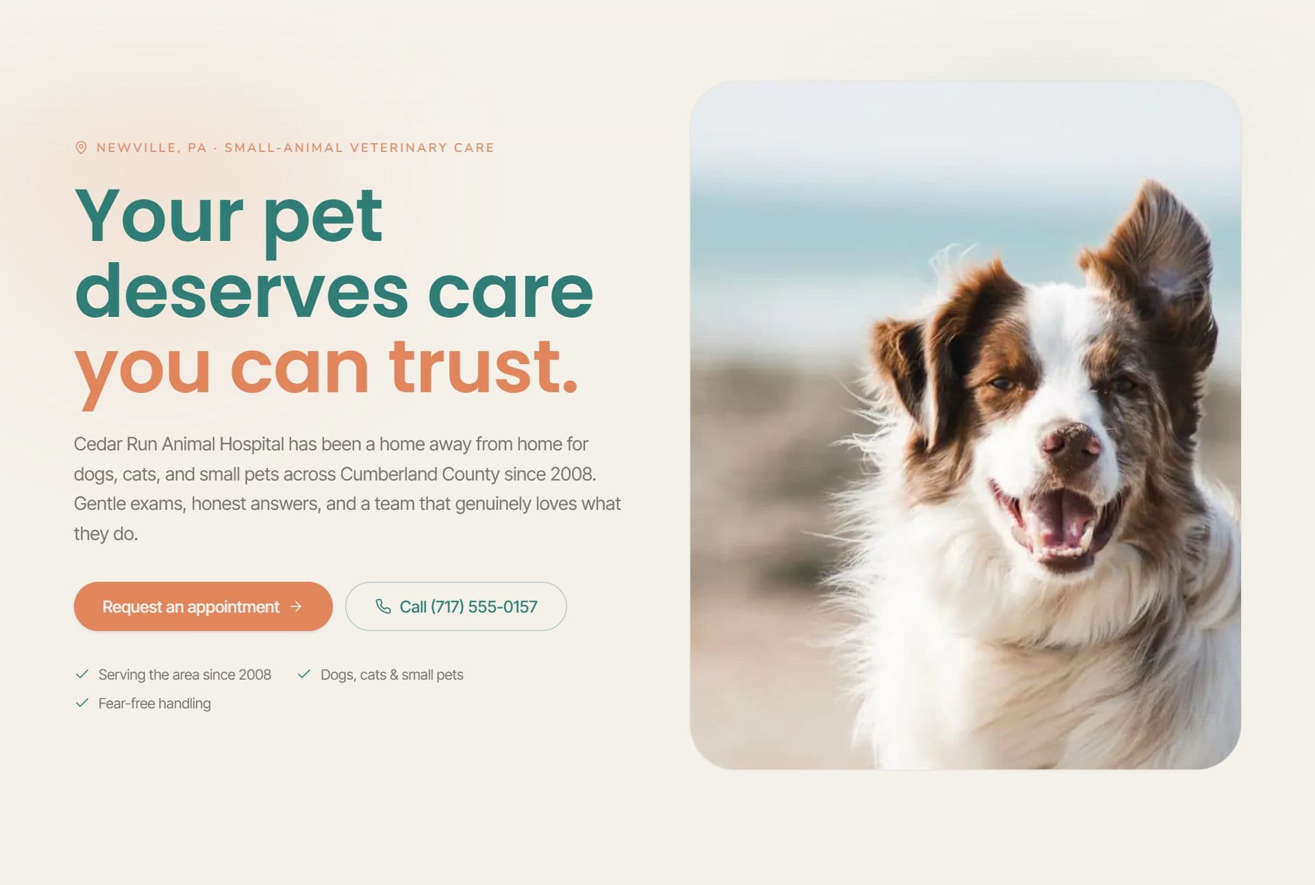 Cedar Run Animal Hospital website built by Tuscarora Web
